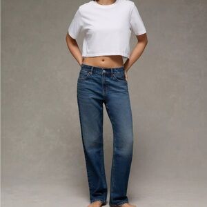 NWT American Eagle Strigid Low Rise Ex Boyfriend Jeans 2 Short